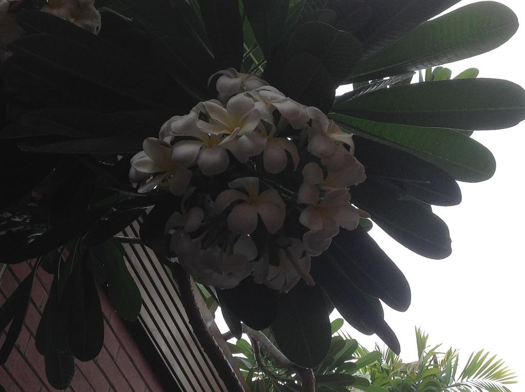 Palms Motel Darwin Bagian luar foto